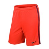 NIKE LEAGUE KNIT SHORT NB