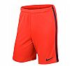 NIKE LEAGUE KNIT SHORT NB