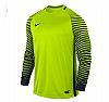 NIKE LS GARDIEN JSY