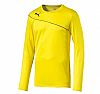 PUMA MOMENTTA GK SHIRT