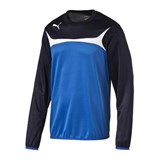 PUMA TEAM TRAINING SWEAT