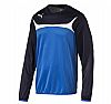 PUMA TEAM TRAINING SWEAT