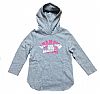 CHAMPION HOODED SWEATSHIRT