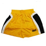 INARIA FIRE SHORT