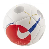 NIKE FUTSAL YOUTH