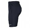 NIKE W NK DF PARK20 SHORT KZ