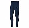 NIKE W DRI FIT ACDM PANT