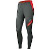 NIKE W NK DF ACDPR PANT KPZ