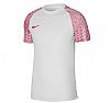 NIKE M DRI FIT ACADEMY