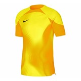 NIKE M DF ADV GARDIEN 4 GK