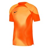 NIKE M DF ADV GARDIEN 4 GK