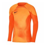 NIKE M DF ADV GARDIEN 4 GK