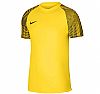 NIKE M DRI FIT ACADEMY