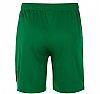 NIKE M TEAM SPIKE SHORT