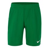 NIKE M TEAM SPIKE SHORT