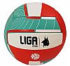 LIGA VOLLEYBALL PYTHON