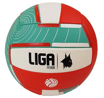 LIGA VOLLEYBALL PYTHON