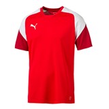 PUMA ESITO TRAINING JSY