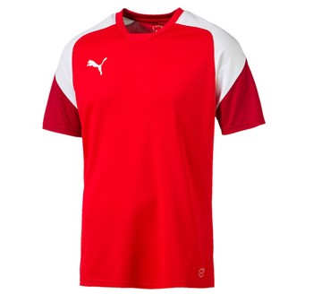 PUMA ESITO TRAINING JSY