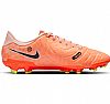 NIKE LEGEND 10 ACADEMY FG/MG