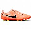 NIKE LEGEND 10 ACADEMY FG/MG