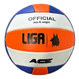 LIGA VOLLEYBALL ACE