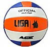 LIGA VOLLEYBALL ACE