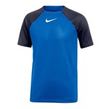 NIKE DF ACADEMY PRO